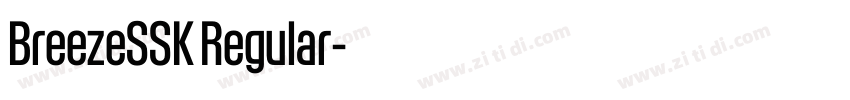 BreezeSSK Regular字体转换 BreezeSSK Regular字体转换